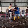 Badan Pangan Nasional ke Pengusaha Pabrik Gula: Jangan Maunya Beli Murah Terus