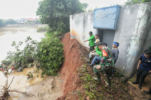 Sejuta Pohon Akan Ditanam di Sepanjang Sungai Citarum