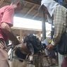 Cukur Bulu, Rapikan Tanduk, Salon Kambing di Cilacap Dongkrak Harga Jual Jelang Idul Adha
