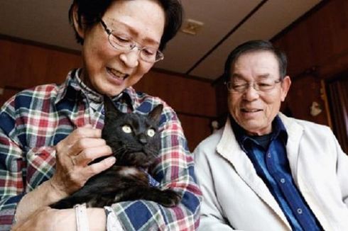 Kucing Hilang Saat Tsunami Jepang Bersatu Lagi dengan Pemiliknya
