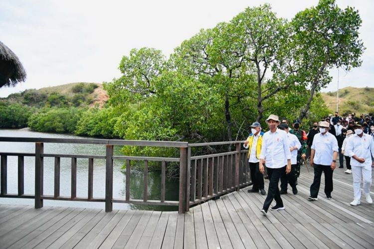 Presiden Joko Widodo di Taman Nasional Komodo di Pulau Rinca, NTT, Kamis (21/7/2022).