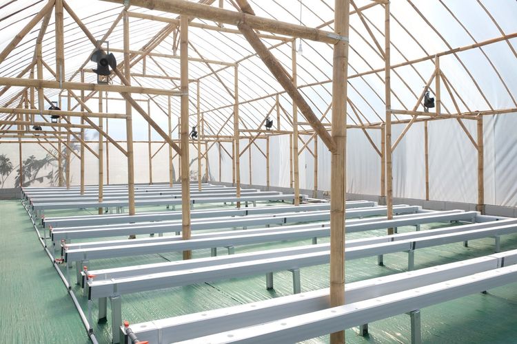Tinggalkan Cara Konvensional, Petani Melon di Indramayu Ini Manfaatkan IoT untuk Budidaya