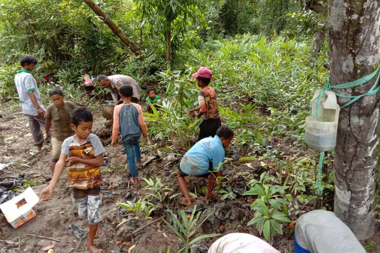 Lutfi Hakim Iha Bhabinkamtibmas yang dijuluki polisi Mangrove di Teluk Bintuni