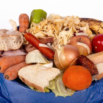 Ilustrasi food waste atau limbah makanan