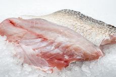 5 Cara Tepat Bekukan Ikan Segar, Biar Awet Berbulan-bulan