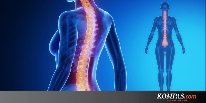66+ Cara Memperbaiki Kursi Kantor Yang Patah HD