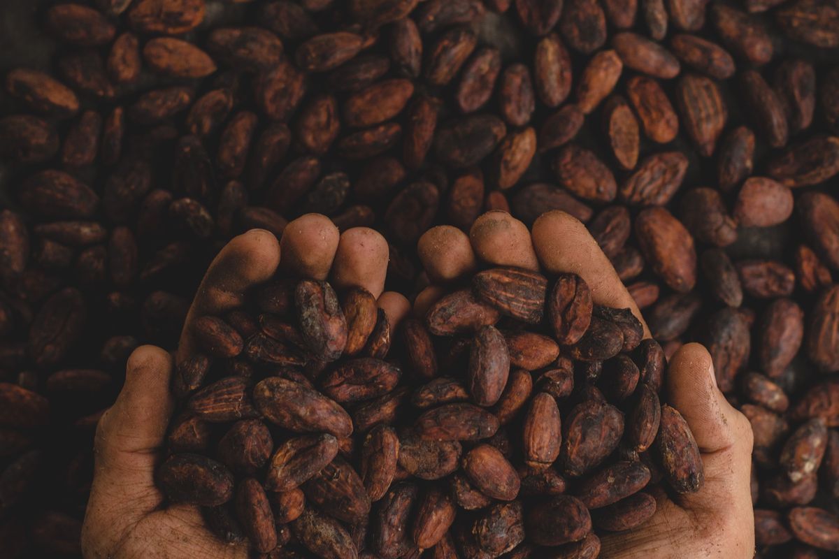 ilustrasi kopi