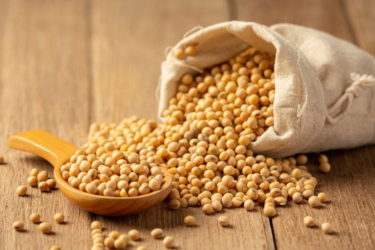 Kacang kedelai yang kaya akan nutrisi dan manfaat