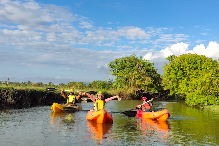 
Wisata Kano Mangrove Baros, di Kretek, Bantul, Yogyakarta, yang menawarkan kegiatan susur sungai sembari melihat hutan mangrove dan panorama sunset. 

