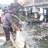 BRIN: Penyebab Kematian Massal Ikan di Danau Batur Tidak Tunggal