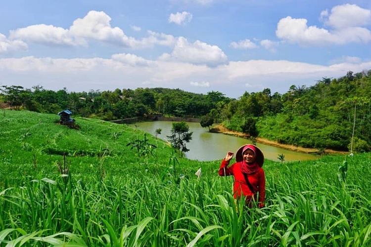 Salah seorang petani saat berada di area kebun hanjeli di desa wisata hanjeli