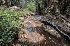 Aliran Citarum Tercemar Limbah TPA Sarimukti, Warga di Bantaran Sungai Hirup Bau Menyengat Setiap Hari