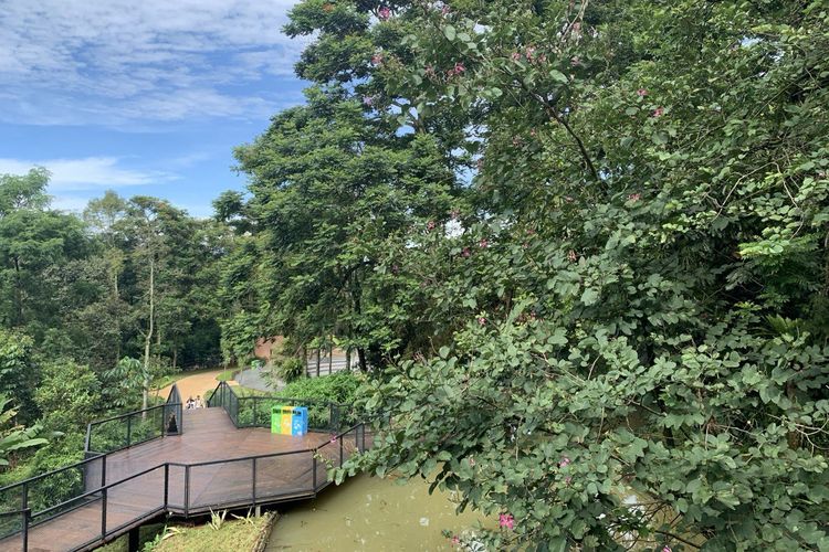 Jembatan yang menghubungkan area air terjun dan playground ini memiliki spot menarik bernama Tree Top Trail. Pengunjung bisa melihat keindahan Gunung Gede Pangrango dari atas spot ini bila cuaca cerahnya mendukung.