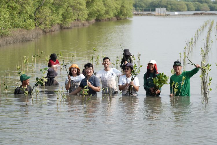Kegiatan tanam mangrove Warga Kampung Muara Beting, Muaragembong, Kabupaten Bekasi, Jawa Barat, harus berkawan dengan banjir rob yang kerap menghantam rumah mereka.

