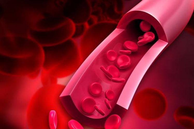 Mengenal D-dimer dan Bahaya Pembekuan Darah pada Pasien Covid-19