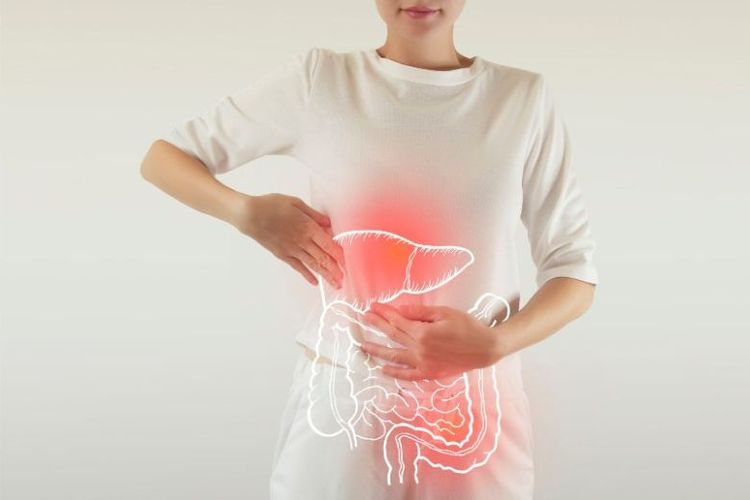 Ilustrasi kanker hati.