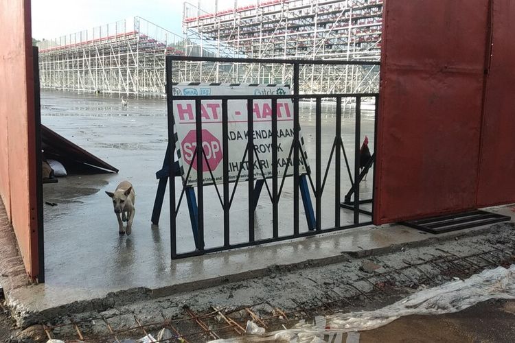 Dua ekor anjing nampak keluar masuk di area tribun merah putih Sirkuit Mandalika, 12 Maret 2022