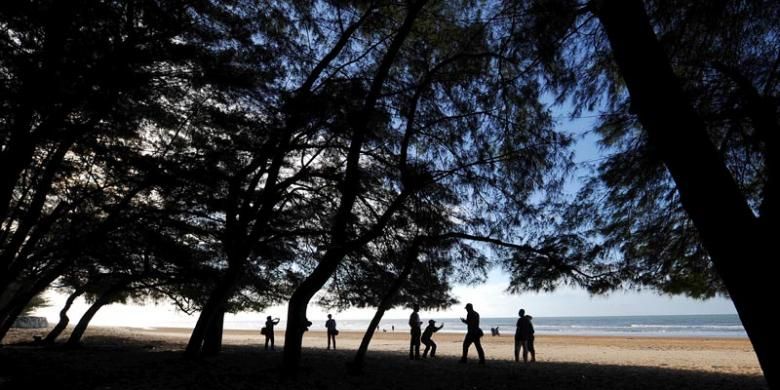 Kerindangan Cemara Udang Pantai Lombang, Kecamatan Batang-batang, Kabupaten Sumenep, Jawa Timur.