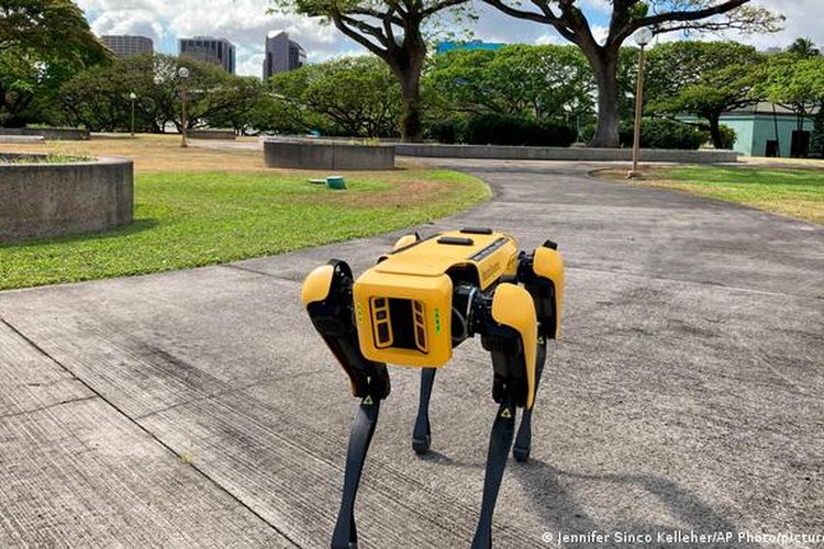 Spot, robot anjing yang baru dibeli kepolisian Honolulu, Hawaii, dan langsung menuai kontroversi.
