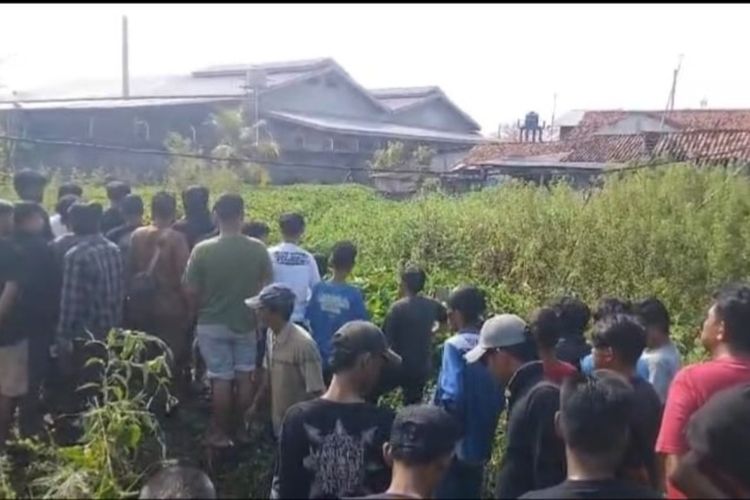 Panik Ketahuan Warga, Jambret di Karawang Sembunyi di Rawa Penuh Eceng Gondok