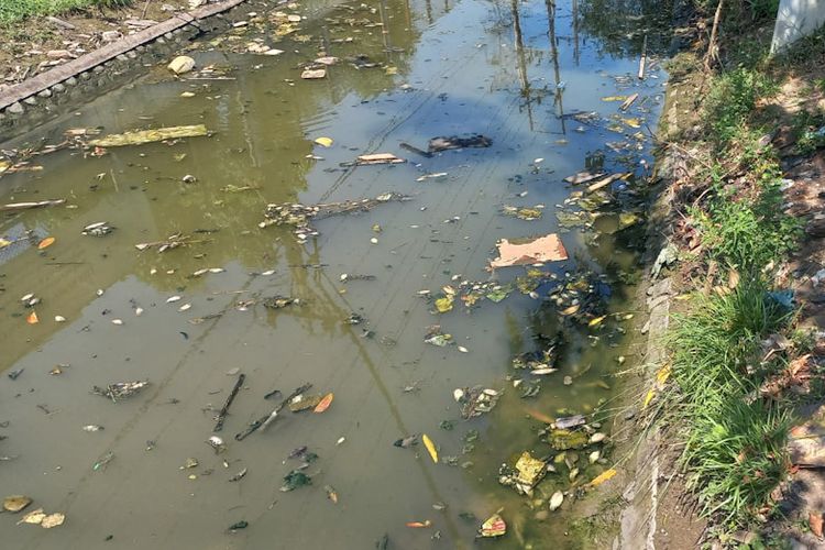 Ikan mati bercampur sampah di aliran sungai yang berada di tepi Jalan Raya Lamongan-Mantup, Jawa Timur, Kamis (21/7/2022). *** Local Caption *** Ikan mati bercampur sampah di aliran sungai yang berada di tepi Jalan Raya Lamongan-Mantup, Jawa Timur, Kamis (21/7/2022).