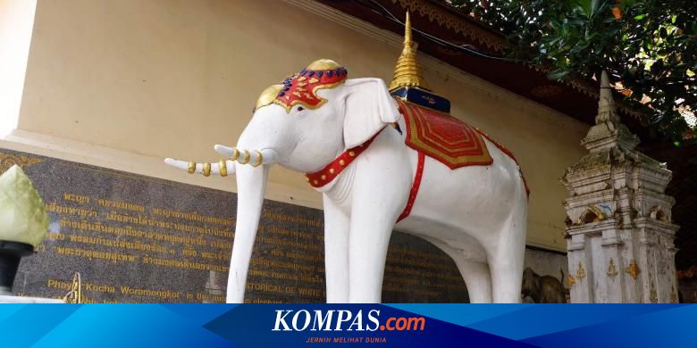 Mengapa Thailand Dijuluki Negeri Gajah Putih