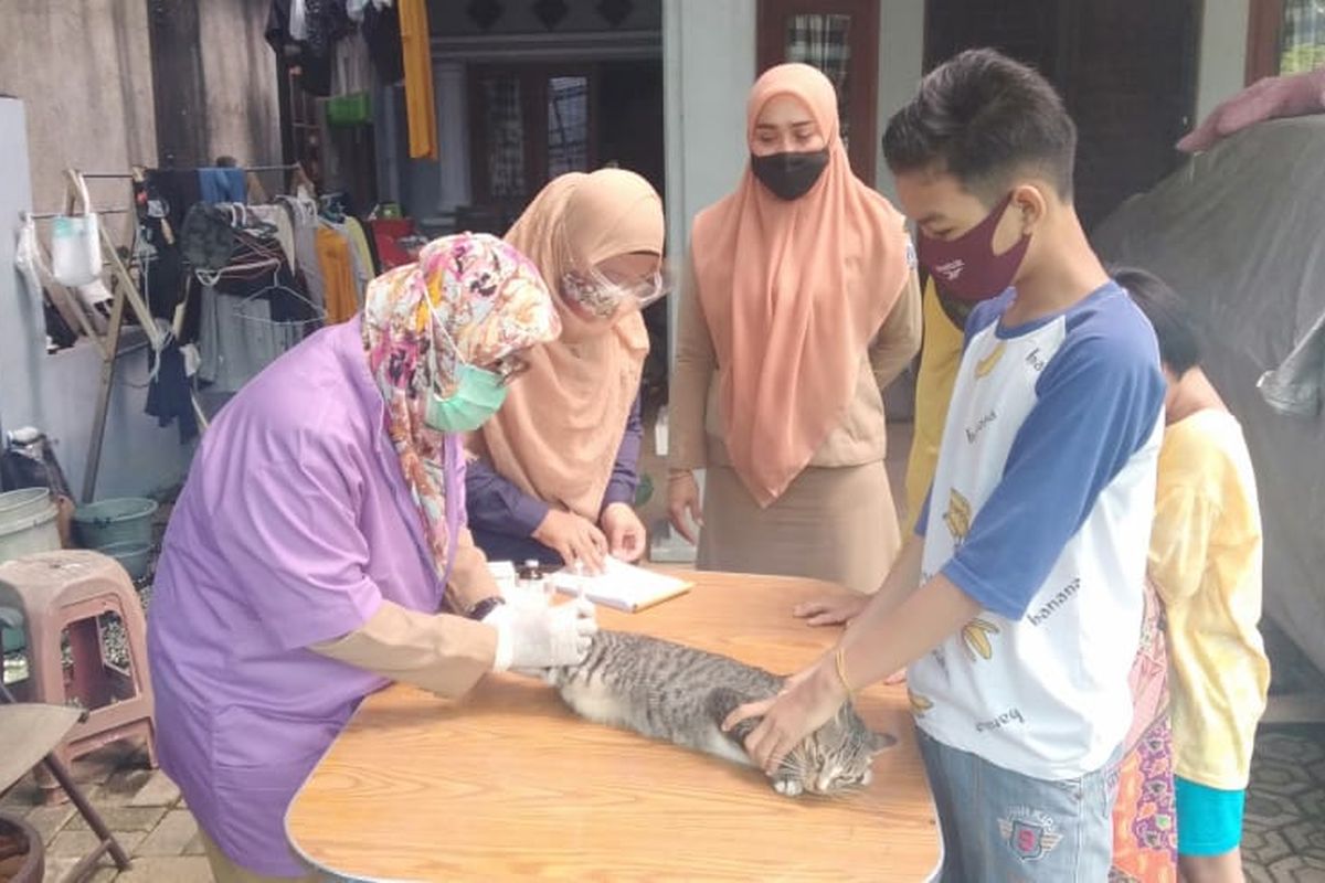 Vaksinasi rabies gratis di Jakarta Timur.