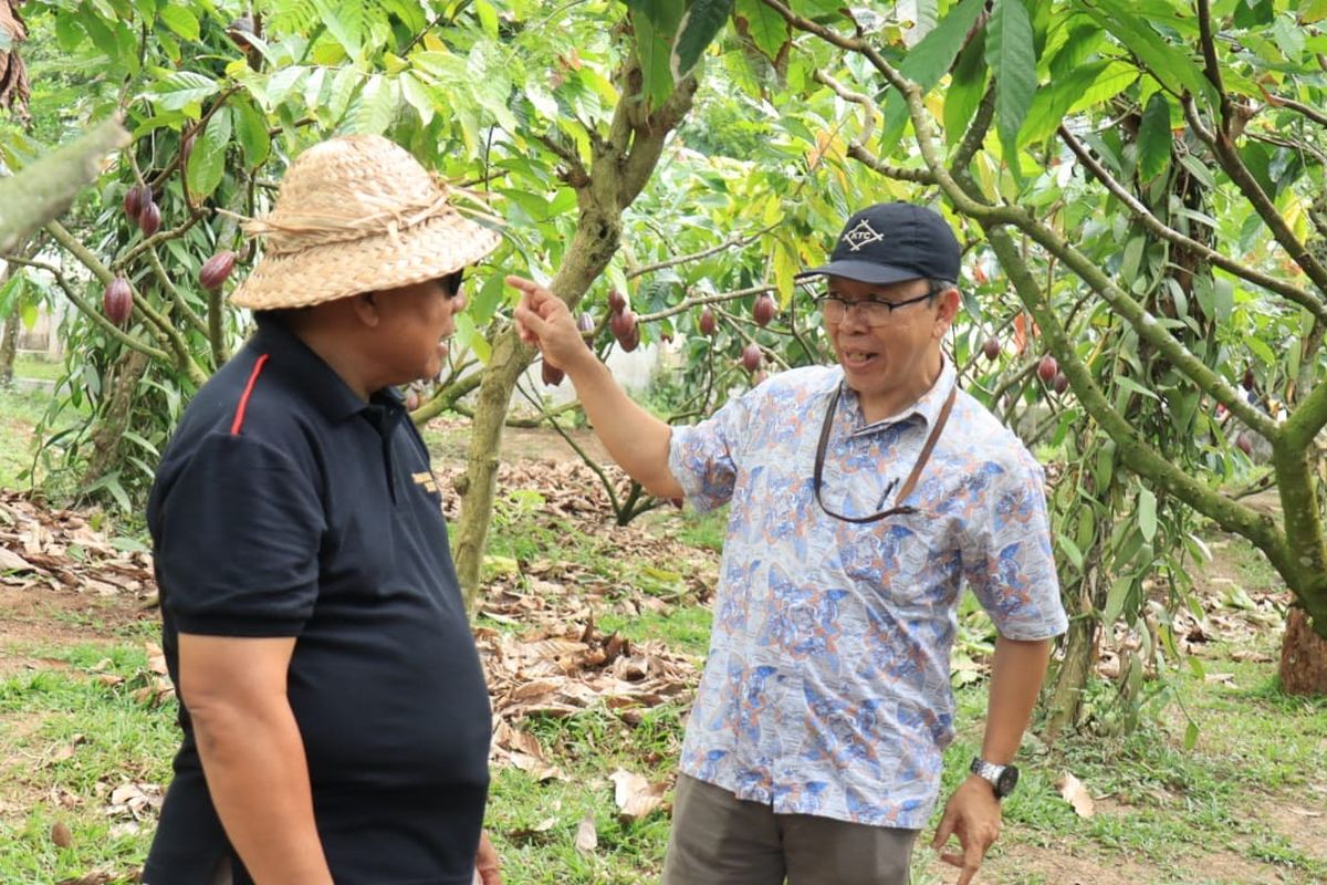 International Cacao Conference akan digelar di Kabupaten Jembrana, 40 delegasi akan hadir mewakili berbagai negara.