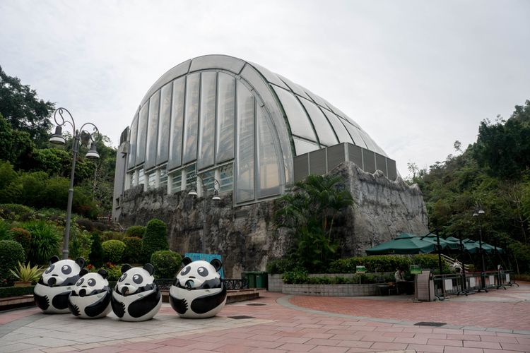 Macao giant panda pavilion.