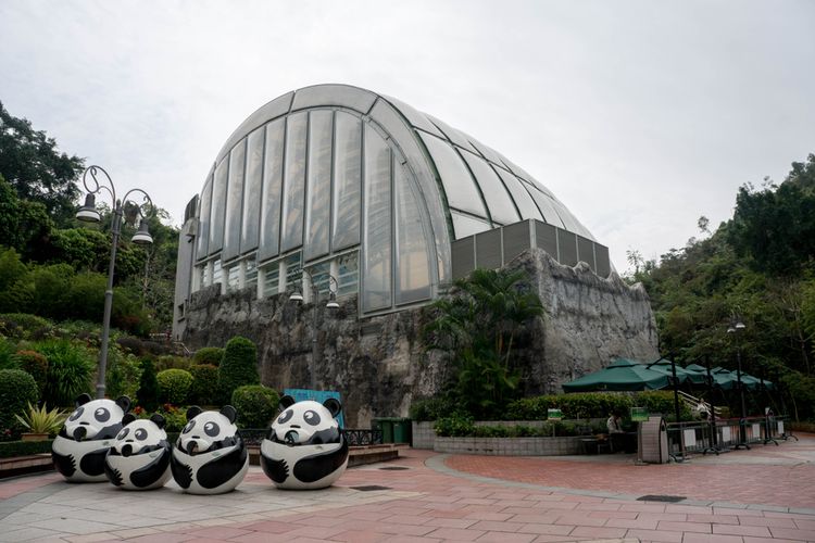 Foto : 5 Rekomendasi Tempat Wisata di Makau, Ada Lokasi Panda Merah