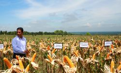 DPR: Gebrakan Mentan Mampu Majukan Sektor Pertanian