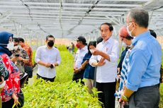 Kunjungi Persamaian Mentawir di Kaltim, Jokowi Sebut Pemerintah Serius soal Tata Lingkungan di IKN