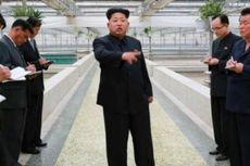 Kinerja Dinilai Buruk, Manajer Peternakan Kura-kura Korea Utara Dieksekusi