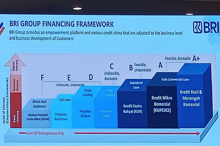 BRI Group Financing Framework