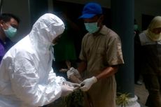 Razia Unggas Terkait Flu Burung Digelar di Seluruh Wilayah Jakarta 