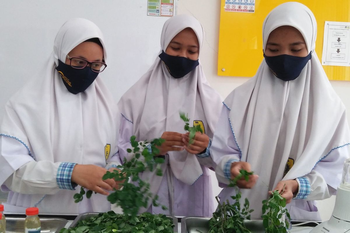  Muhammadiyah 10 GKB Gresik High School students Amalia Dwi Berlianti, Arina Felisia dan Aulia Nabila Syaban hold up the moringa leaves used to make the mouthwash that won them a silver medal at the 2020 World Invention Competition Exhibition [WICE] in Kuala Lumpur, Malaysia earlier this month 