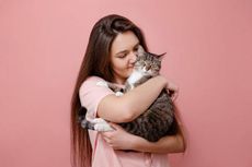 5 Dampak Positif ketika Memelihara Kucing, Apa Saja?