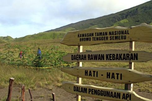 Pemulihan Ekosistem, Awal 2017 Pendakian Gunung Semeru Ditutup Total