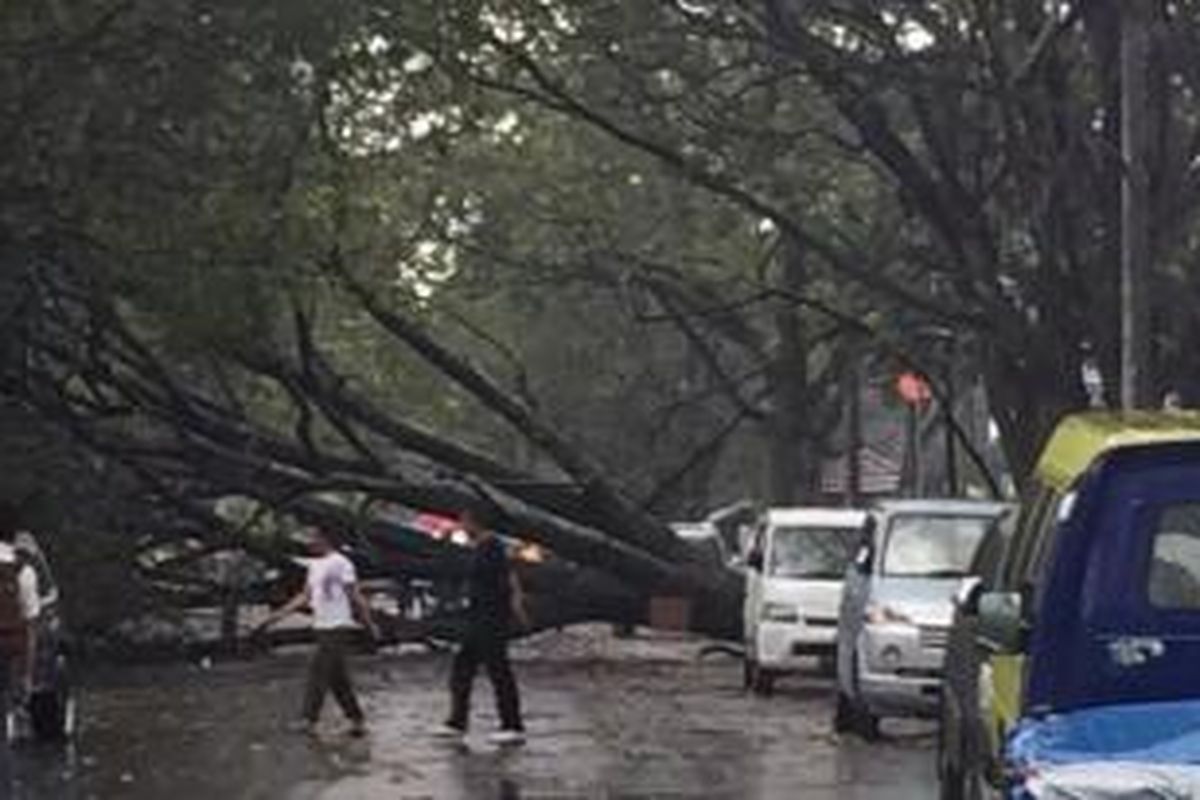 Akibat hujan lebat disertai angin kencang yang melanda Bandung, Senin (21/9/2015) sejumlah pohon di beberapa ruas jalan utama tumbang. Salah satunya tumbang dan melintang di Jl RE Martadinata, Bandung. 

