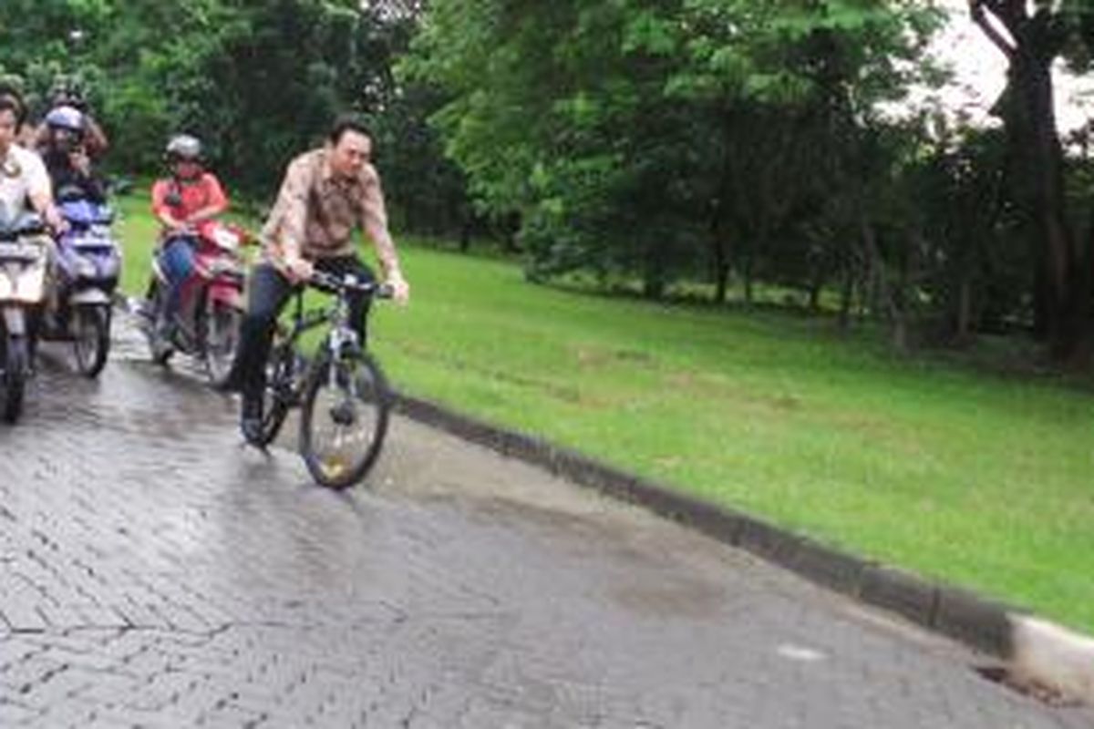 Wakil Gubernur DKI Jakarta Basuki Tjahaja Purnama asyik menggowes sepedanya sebelum naik bus kota terintegrasi busway (BKTB), Jumat (7/2/2014).