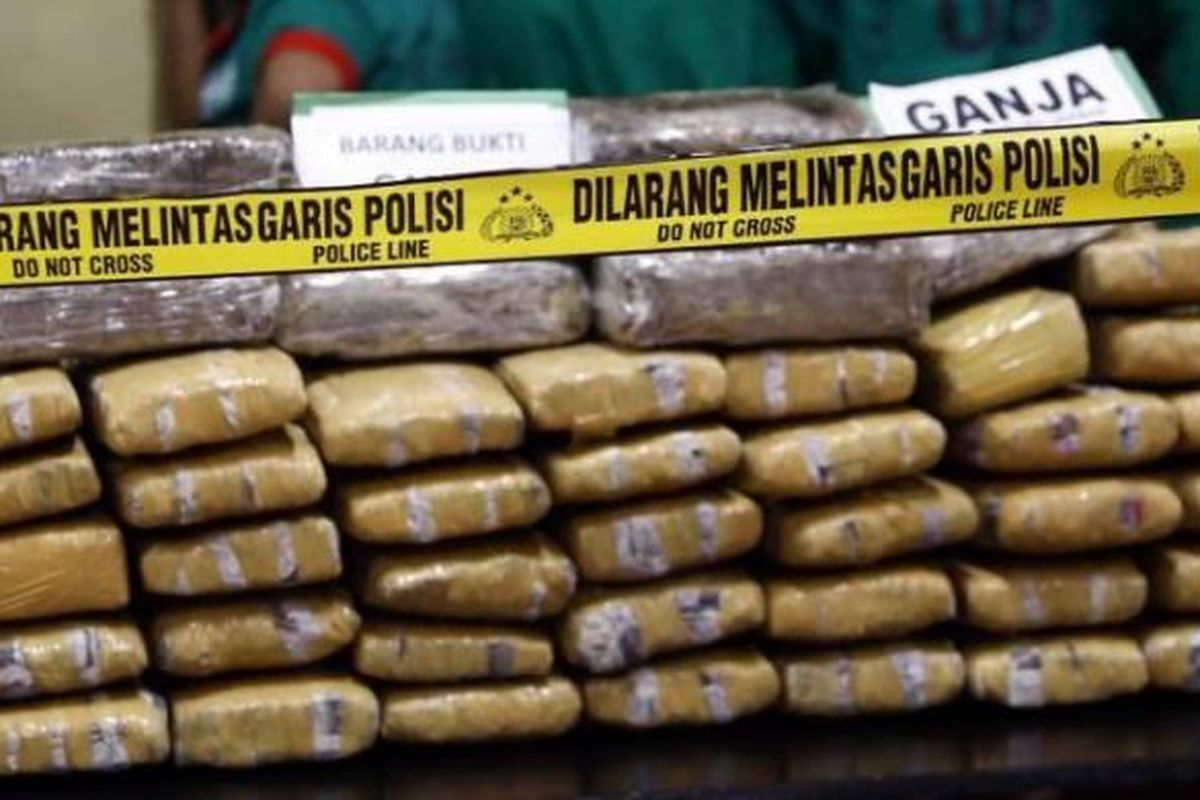 Barang bukti Ganja  seberat 69,2 kg dan para tersangka dihadirkan saat konferensi pers pengungkapann kasus ganja jaringan Aceh periode Agustus 2013 di Mapolrestro Jakarta Barat, Senin (26/8/2013).