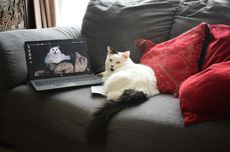 27 Ton Logistik Dikirim Via Laut ke Wilayah Tedampak Banjir-Longsor di Aceh