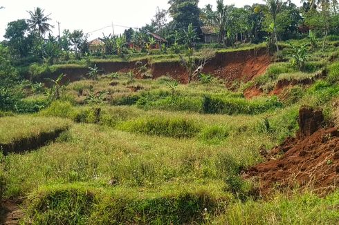 Persawahan Ambles di Nyalindung Sukabumi, Tanahnya Masih Bergerak Secara Perlahan