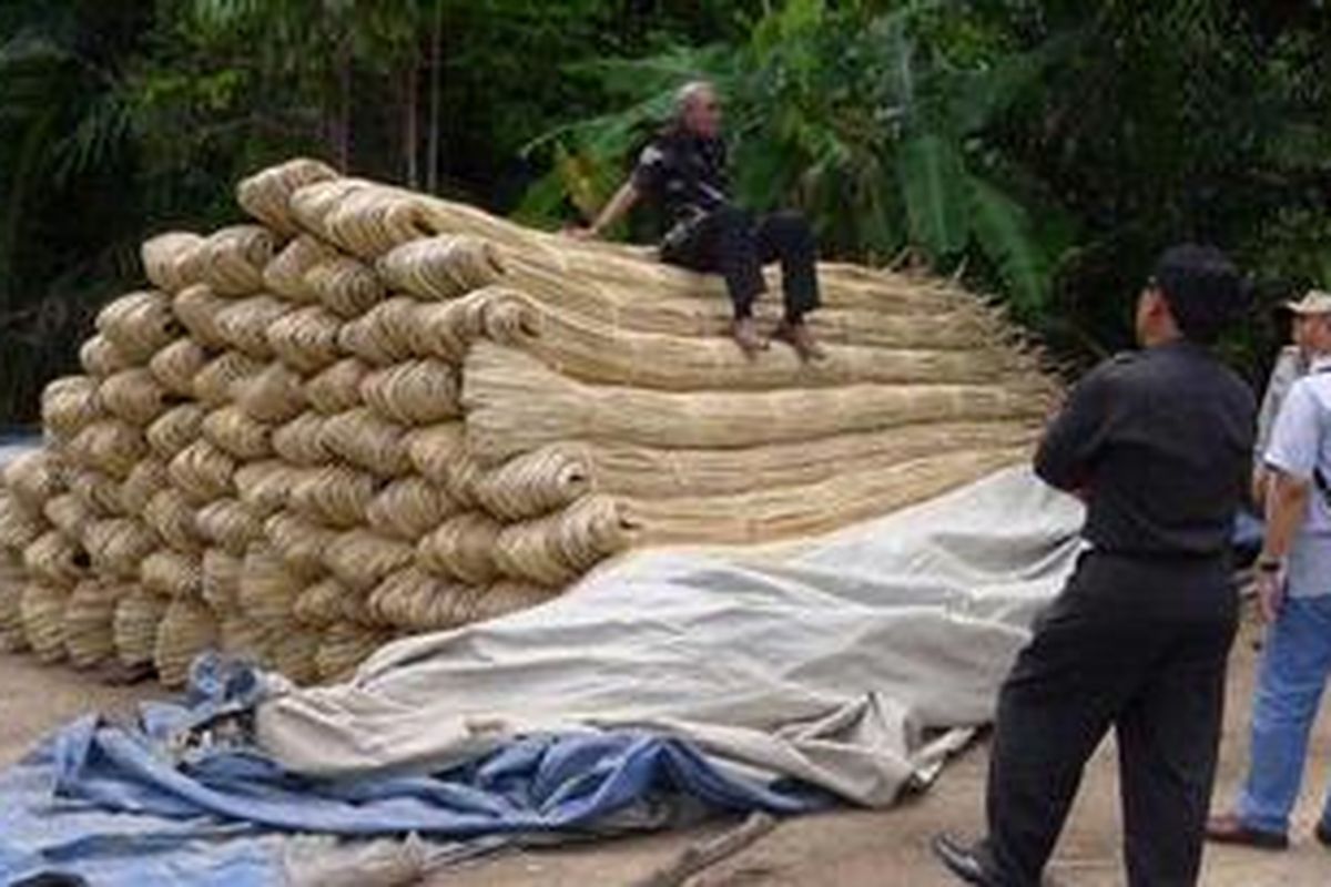 Wakil Menteri (Wamen) Perindustrian Alex Retraubun mencoba membersihkan batang rotan yang masih mentah, Selasa (25/10/2011). 