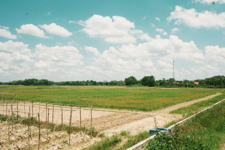 Kementerian Pekerjaan Umum Rakyat (PU) tengah melaksanakan Percepatan Peningkatan Tata Guna Air Irigasi (P3TGAI) di Kabupaten Ogan Komering Ilir (OKI), Provinsi Sumatera Selatan.