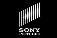 Diretas, Berapa Kerugian Sony Pictures?