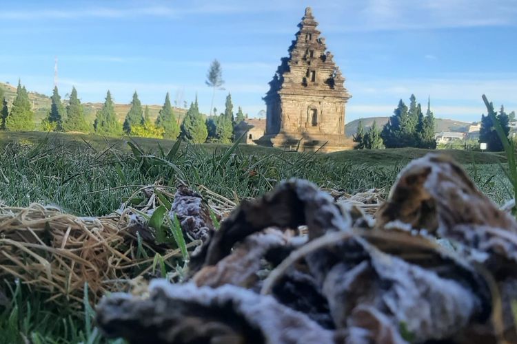 Embun es menyelimuti Kawasan dataran tinggi Dieng, Kabupaten Banjarnegara, Jawa Tengah, Jumat (28/7/2023) pagi.