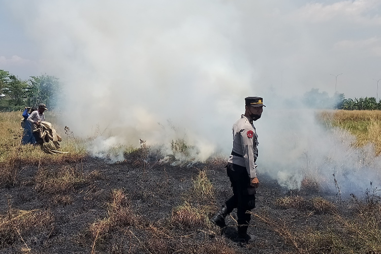 Petugas Polres Pemalang ikut berjibaku memadamkan api pembakaran lahan di sekitar area Tol Pemalang 