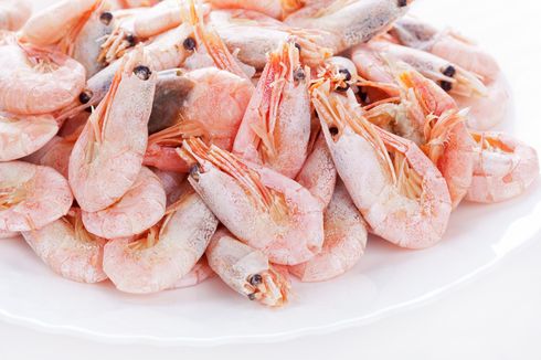 Apakah Udang Mengandung Kolesterol Tinggi?