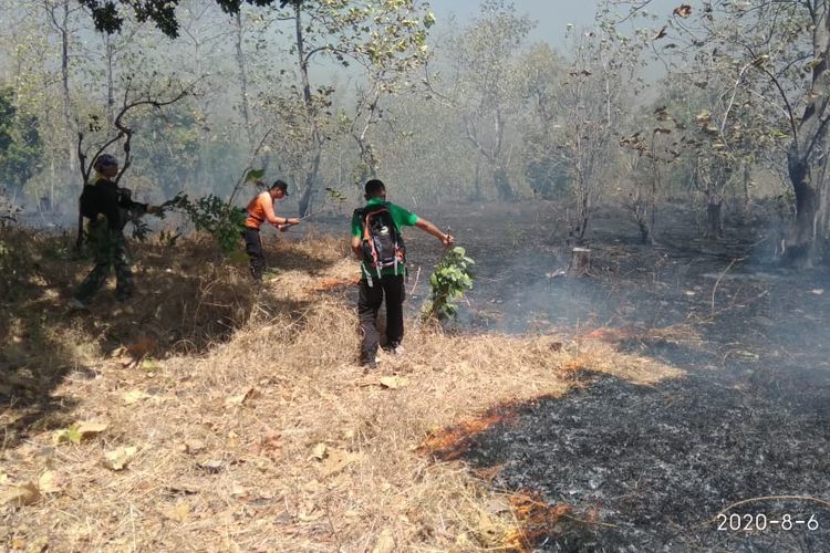 Petugas saat berusaha memadamkan api di Taman Nasional Baluran Situbondo